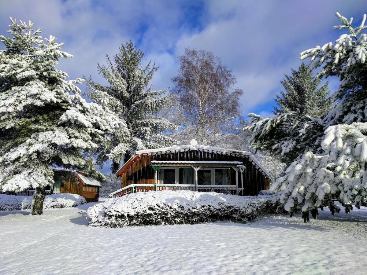 Chalets des Trois Hêtres Plombières-les-Bains Exterior foto