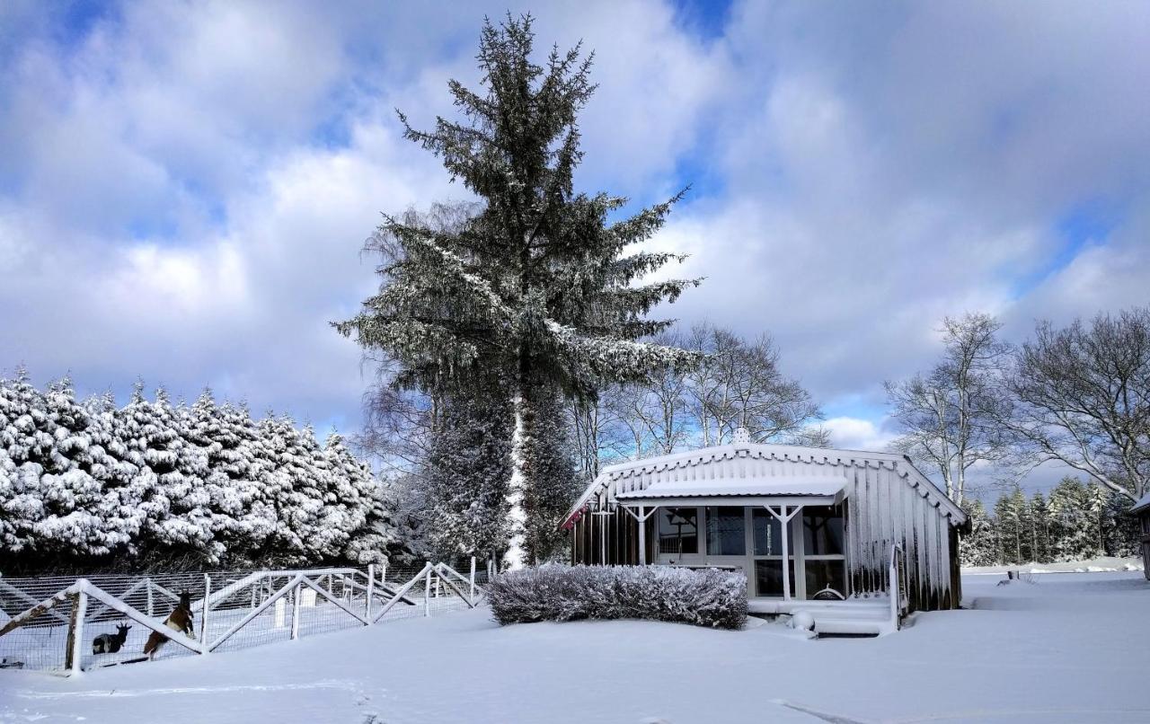 Chalets des Trois Hêtres Plombières-les-Bains Exterior foto